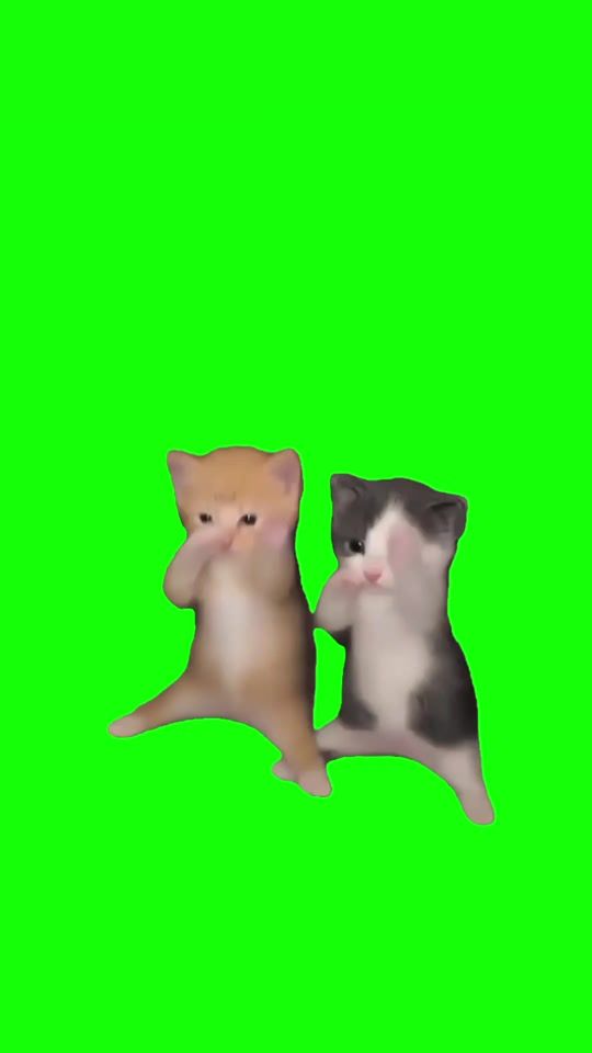 TikTok video thumbnail by green.scream.memes