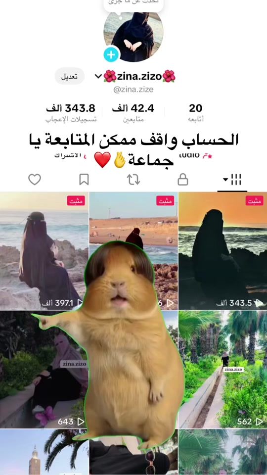 TikTok video thumbnail by zina.zize