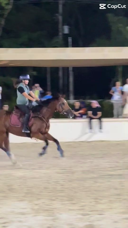 TikTok video thumbnail by regina_eq2