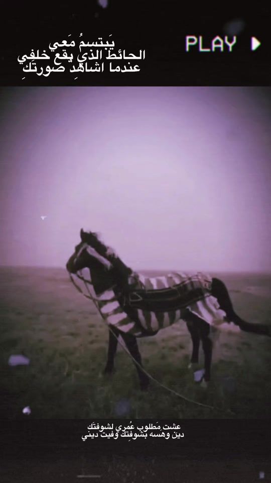 TikTok video thumbnail by 12_xso