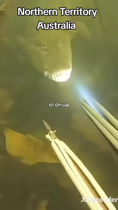 TikTok video thumbnail by territoryofficial