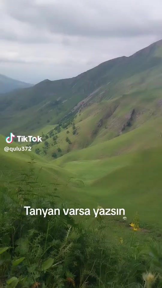 TikTok video thumbnail by _meherem_021