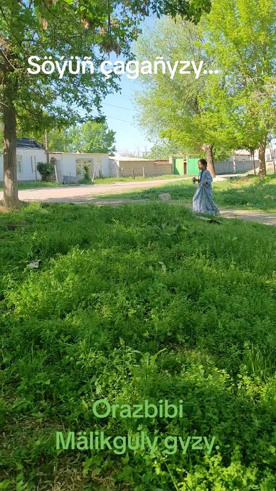 TikTok video thumbnail by orazbibi.yagmyrow