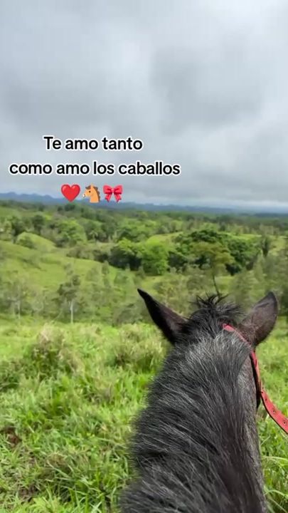 TikTok video thumbnail by cocvictor2736