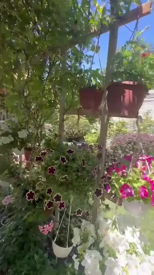 TikTok video thumbnail by karol_se__r