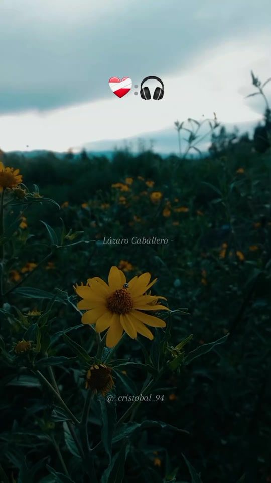 TikTok video thumbnail by _cristobal_94