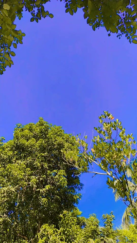 TikTok video thumbnail by popeakter72