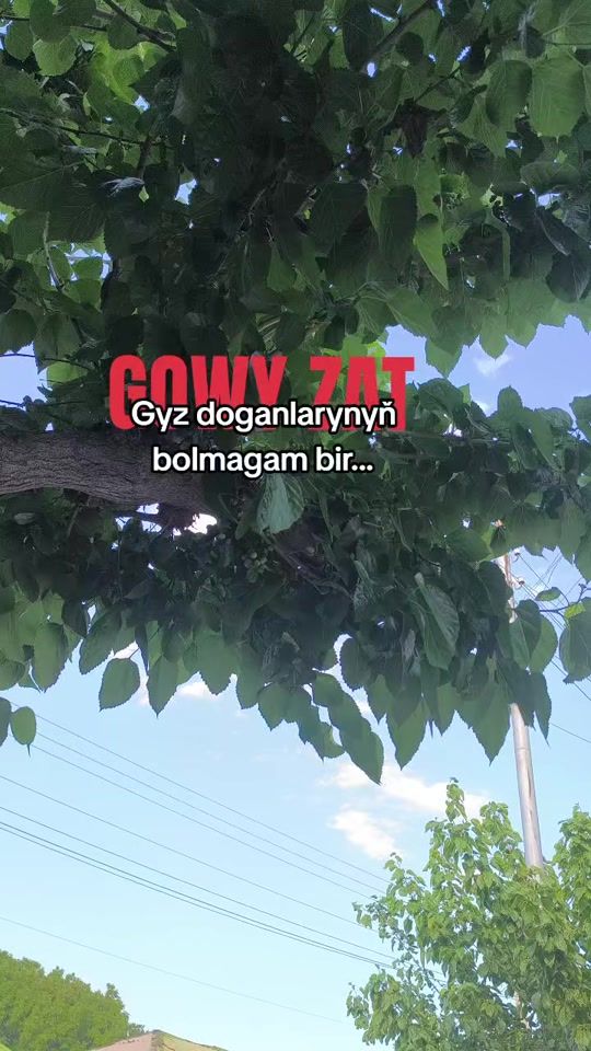 TikTok video thumbnail by satlyk_acc_