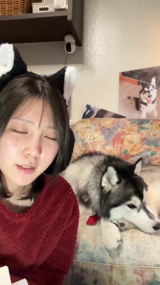 TikTok video thumbnail by shoomatu0610