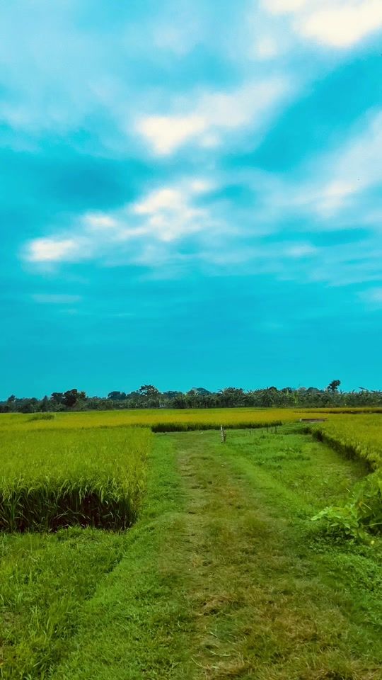 TikTok video thumbnail by shahed_hossain143