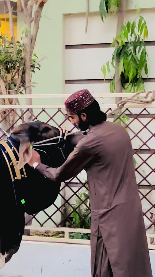TikTok video thumbnail by zaid_rafique