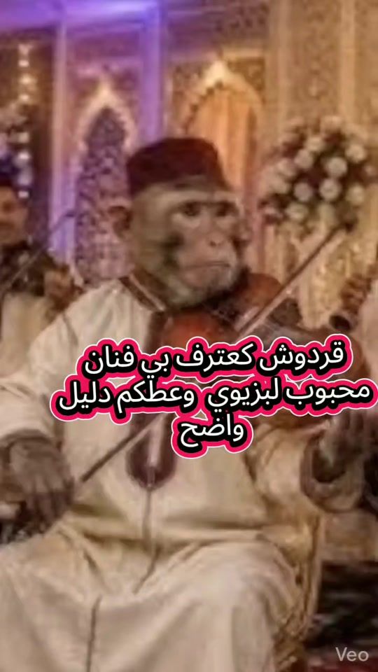 TikTok video thumbnail by cheaibadokali