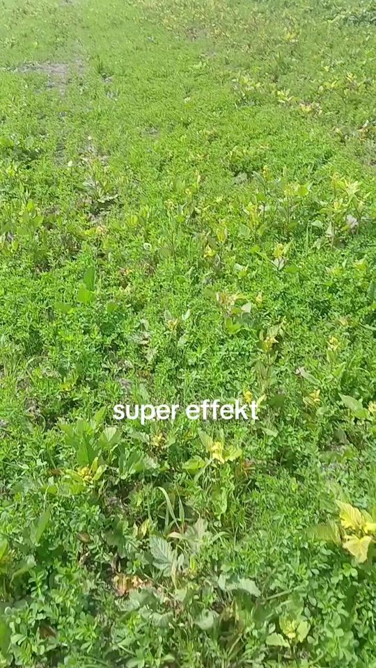 TikTok video thumbnail by tofiq__068