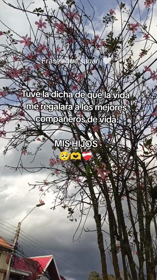 TikTok video thumbnail by frase95kt