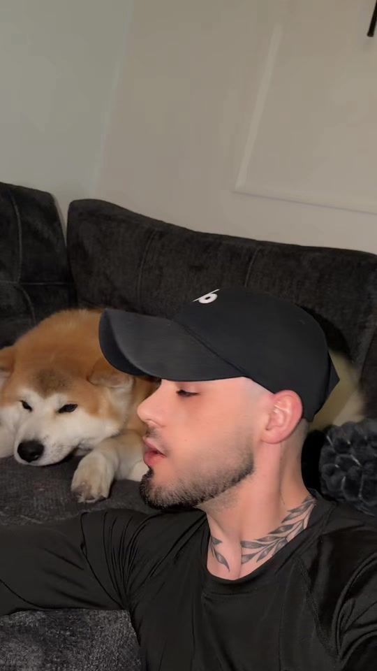 TikTok video thumbnail by dog.hachiko