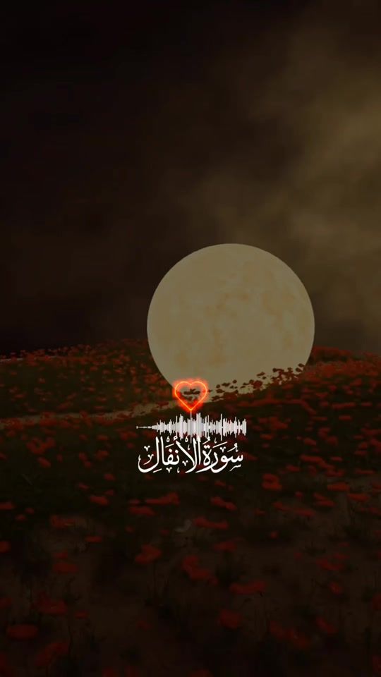 TikTok video thumbnail by niazi__wri8