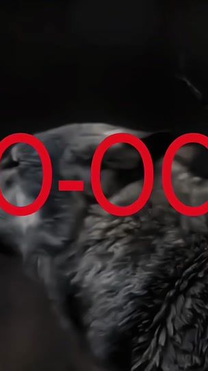 TikTok video thumbnail by blxzuerr