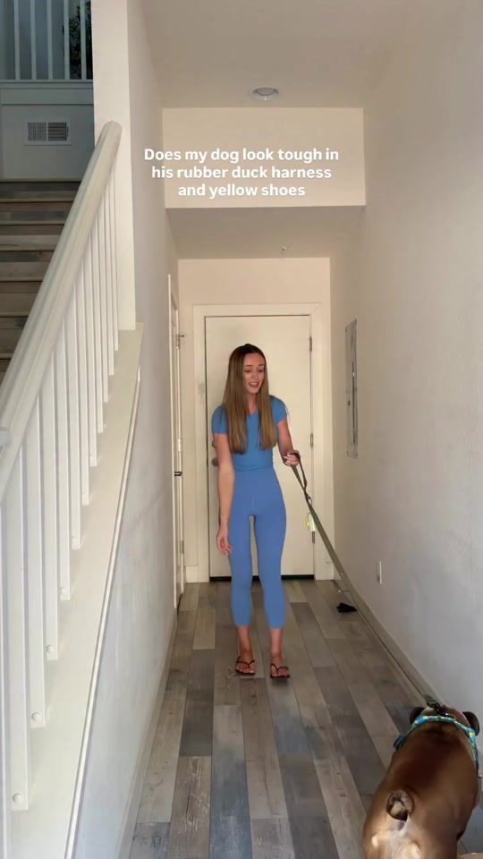 TikTok video thumbnail by wagwear