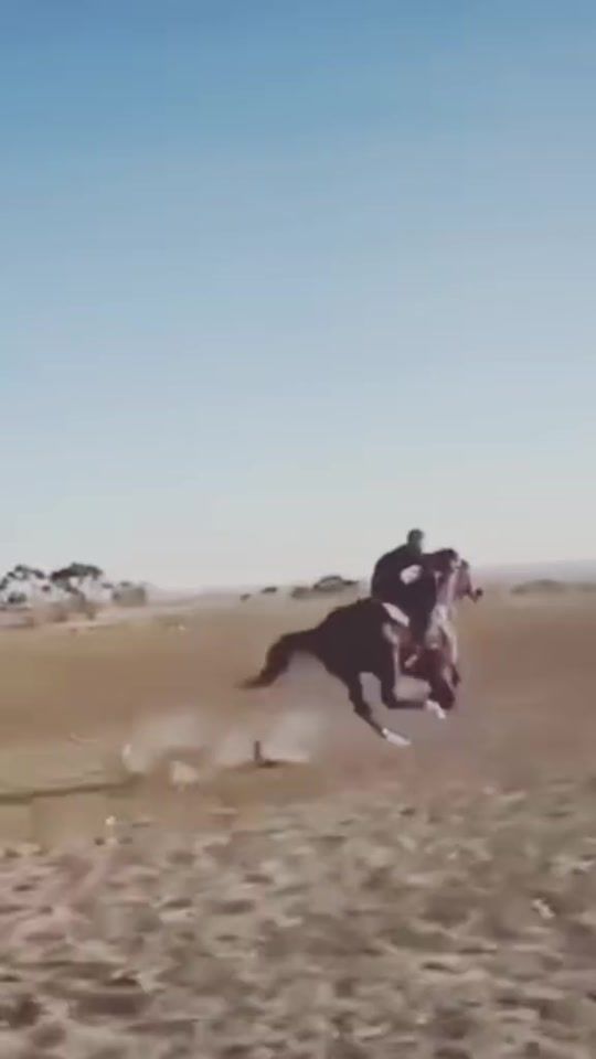 TikTok video thumbnail by jnobe_37