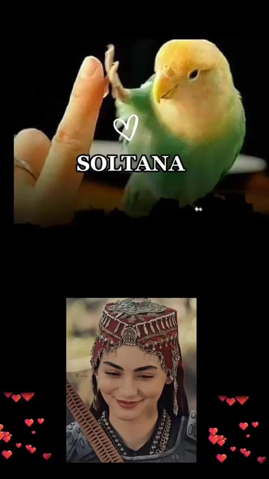 TikTok video thumbnail by 3tr_el_hayet