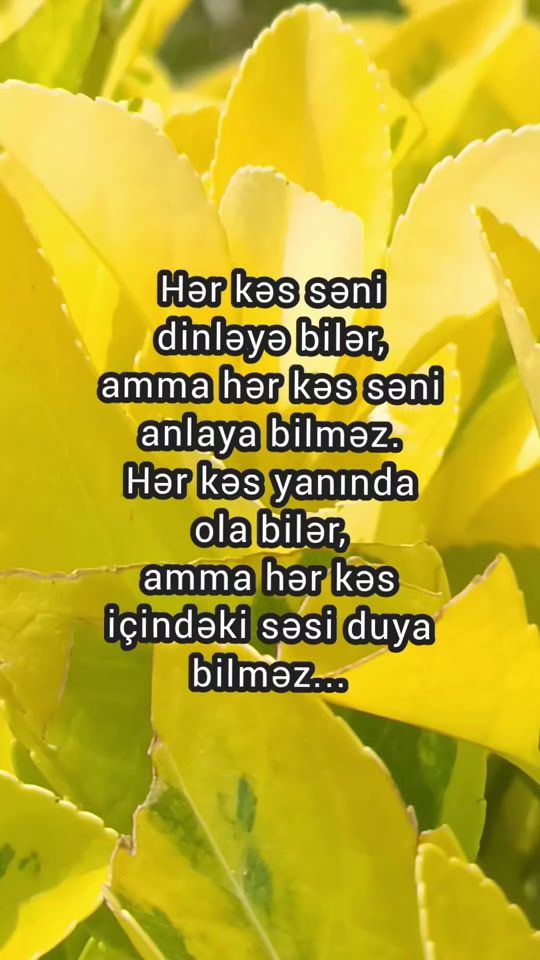 TikTok video thumbnail by qedir_mirzayev_