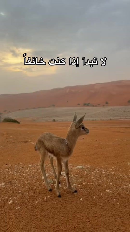 TikTok video thumbnail by nayef.35