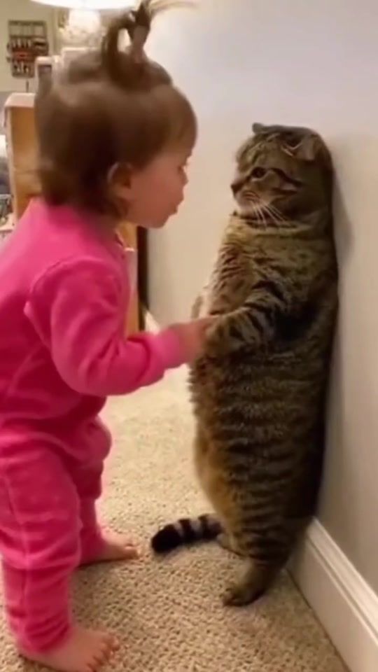 TikTok video thumbnail by latifa.fathi2