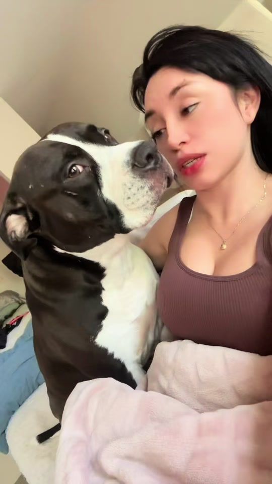 TikTok video thumbnail by andrecaro1308