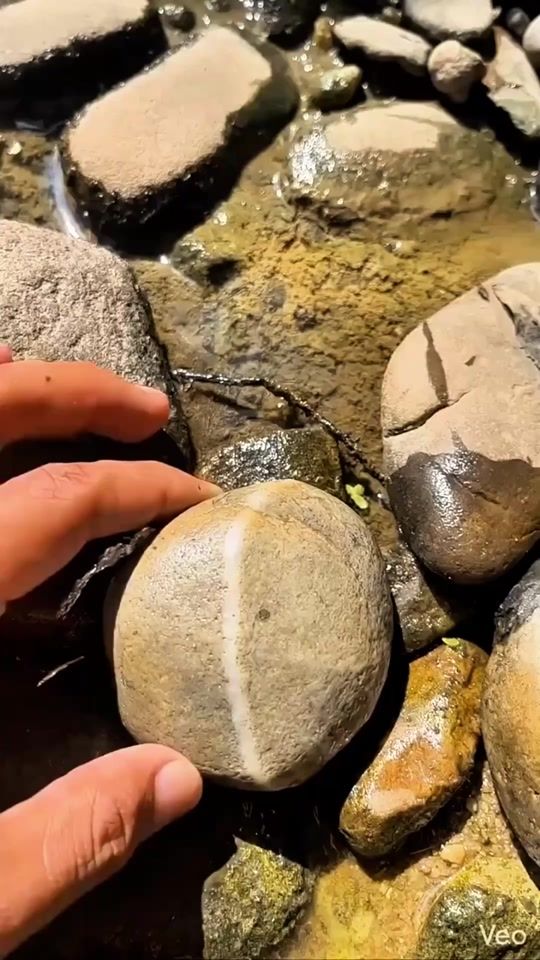 TikTok video thumbnail by md.masud3591