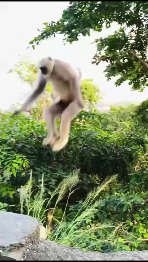 TikTok video thumbnail by binduchaudhary485