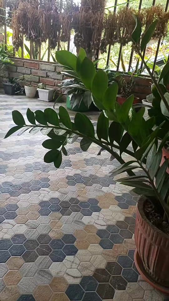 TikTok video thumbnail by agnesh_subba