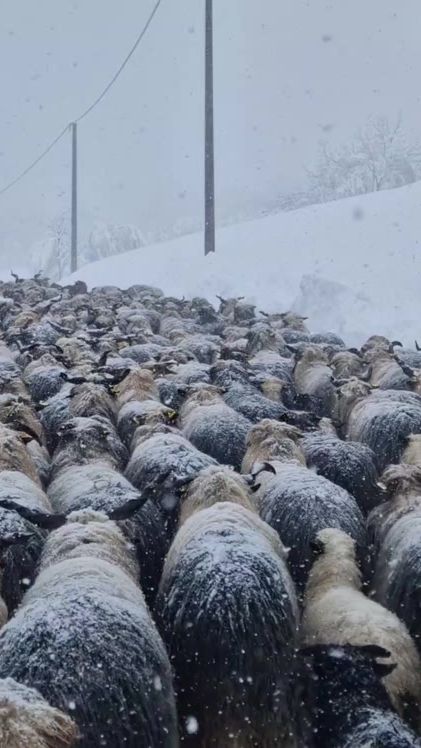 TikTok video thumbnail by sdolic99