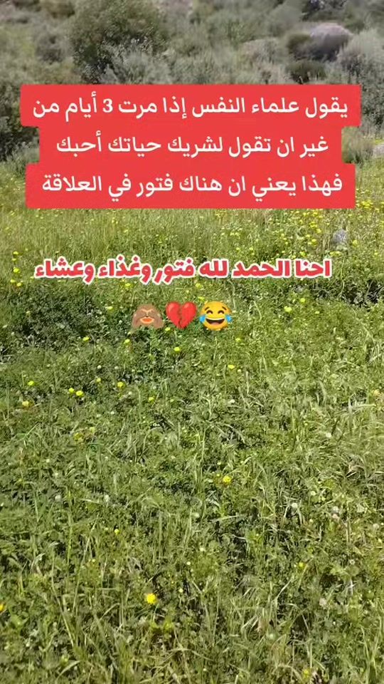 TikTok video thumbnail by bejauia06