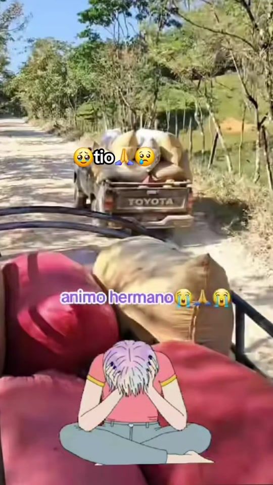 TikTok video thumbnail by jairo.chen.sel