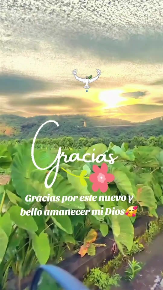 TikTok video thumbnail by tinaciorciar