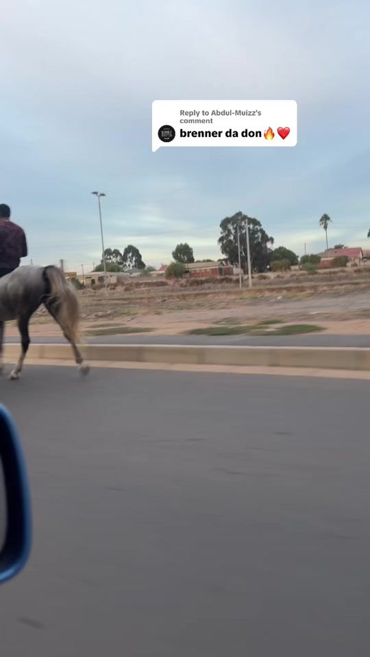 TikTok video thumbnail by mr_brenner.021