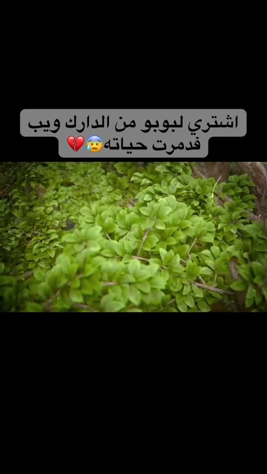 TikTok video thumbnail by ammarmohemd3