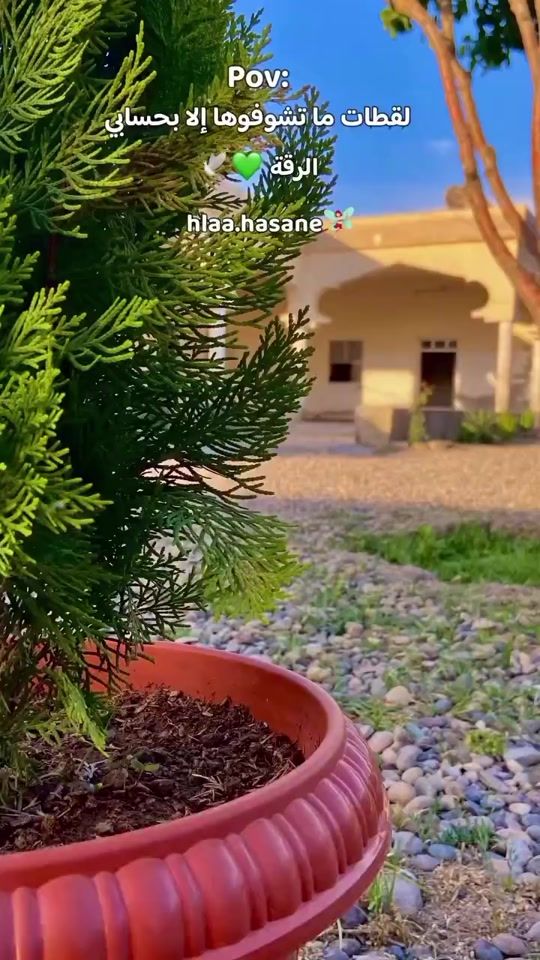 TikTok video thumbnail by am.kimo642