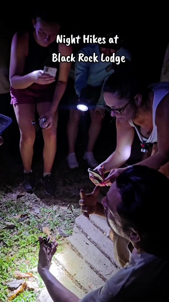 TikTok video thumbnail by mayeguifarro