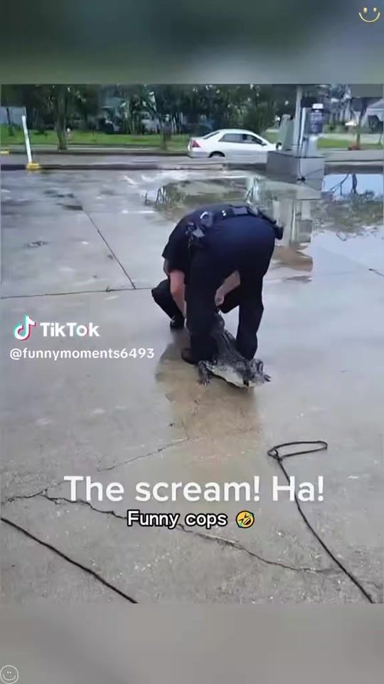 TikTok video thumbnail by zdenkamolnar