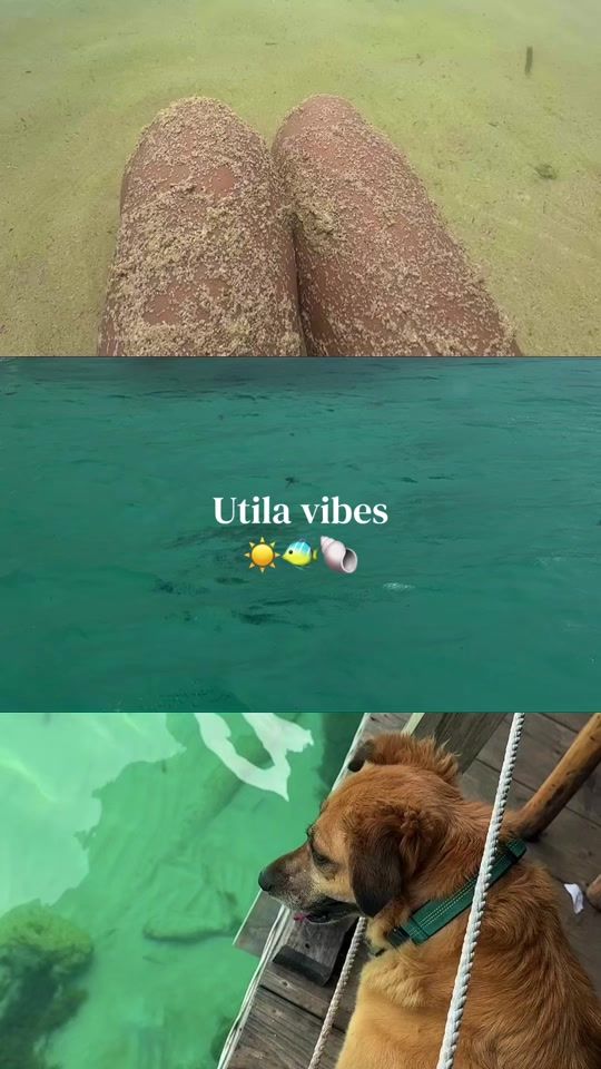 TikTok video thumbnail by darlingmtz