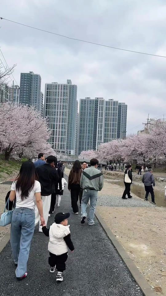 TikTok video thumbnail by amoei_1640