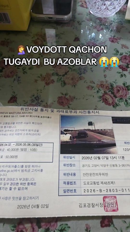 TikTok video thumbnail by visa_korea_help