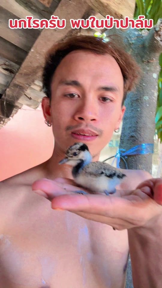 TikTok video thumbnail by nut.krabi