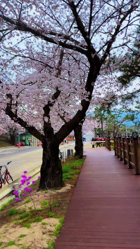 TikTok video thumbnail by harry_kasim