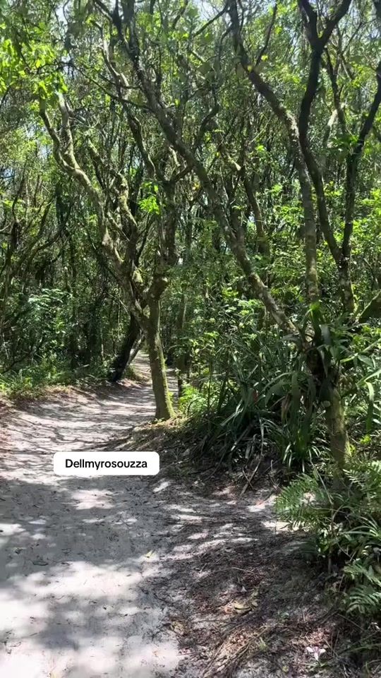 TikTok video thumbnail by dellmyrrosouzza