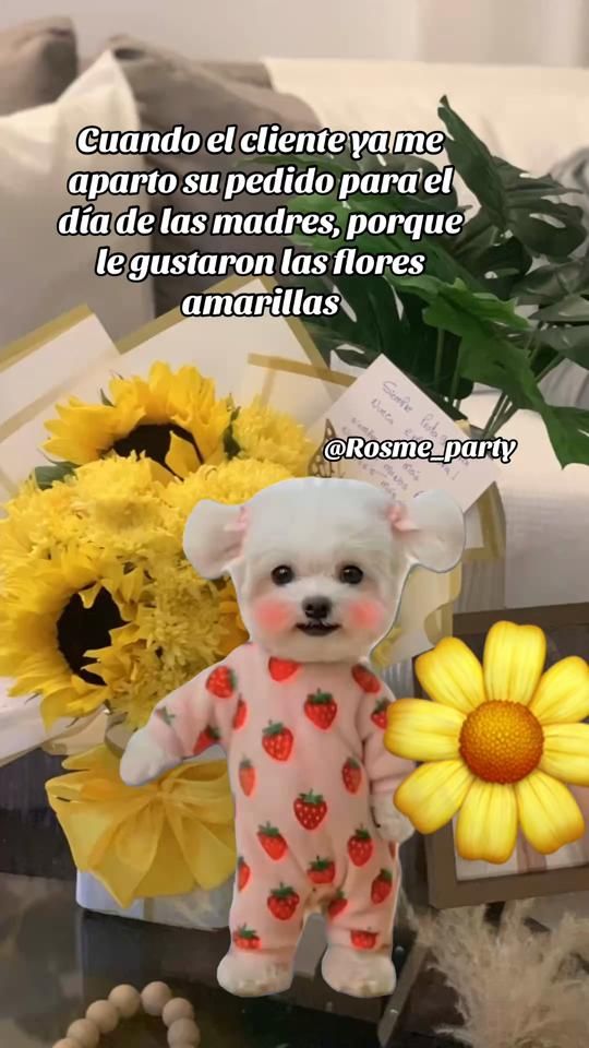TikTok video thumbnail by rosme_party12