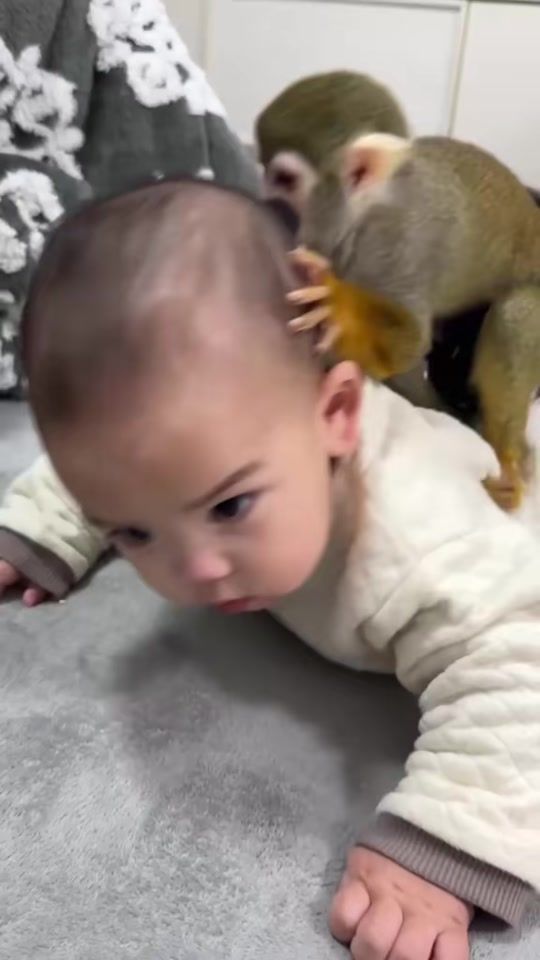 TikTok video thumbnail by monkey.pipi