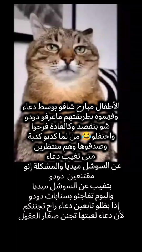 TikTok video thumbnail by lolwacasa