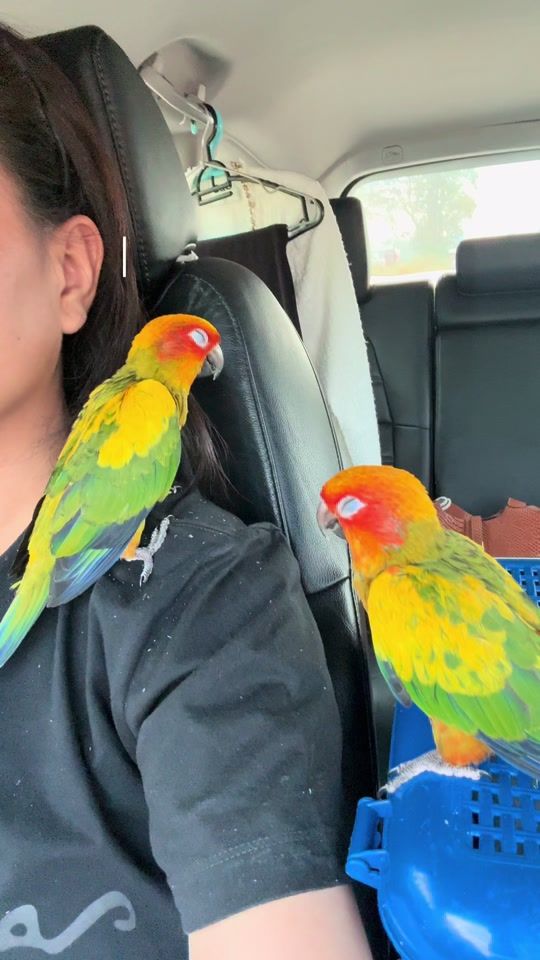 TikTok video thumbnail by .luckymoney